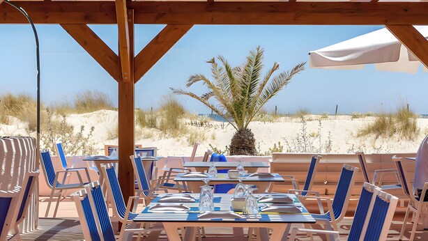 Un'area pranzo all'aperto con tavoli e sedie, una palma e vista sulla spiaggia.