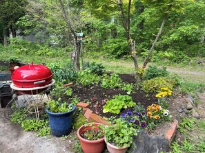 Un jardín con una parrilla, plantas en macetas y un comedero para pájaros.