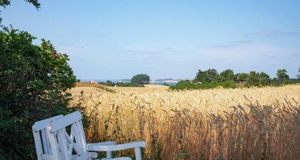 Sea-view terrace on scenic Helgenæs
