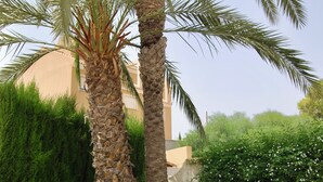 A garden with palm trees, a bicycle, and a potted plant. - Duplex in Bolnuevo Ideal for Families with Pets (Bolnuevo)