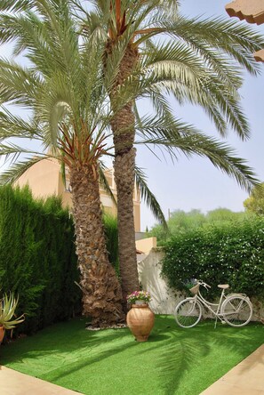 Ein Garten mit Palmen, einem Fahrrad und einem Blumentopf.