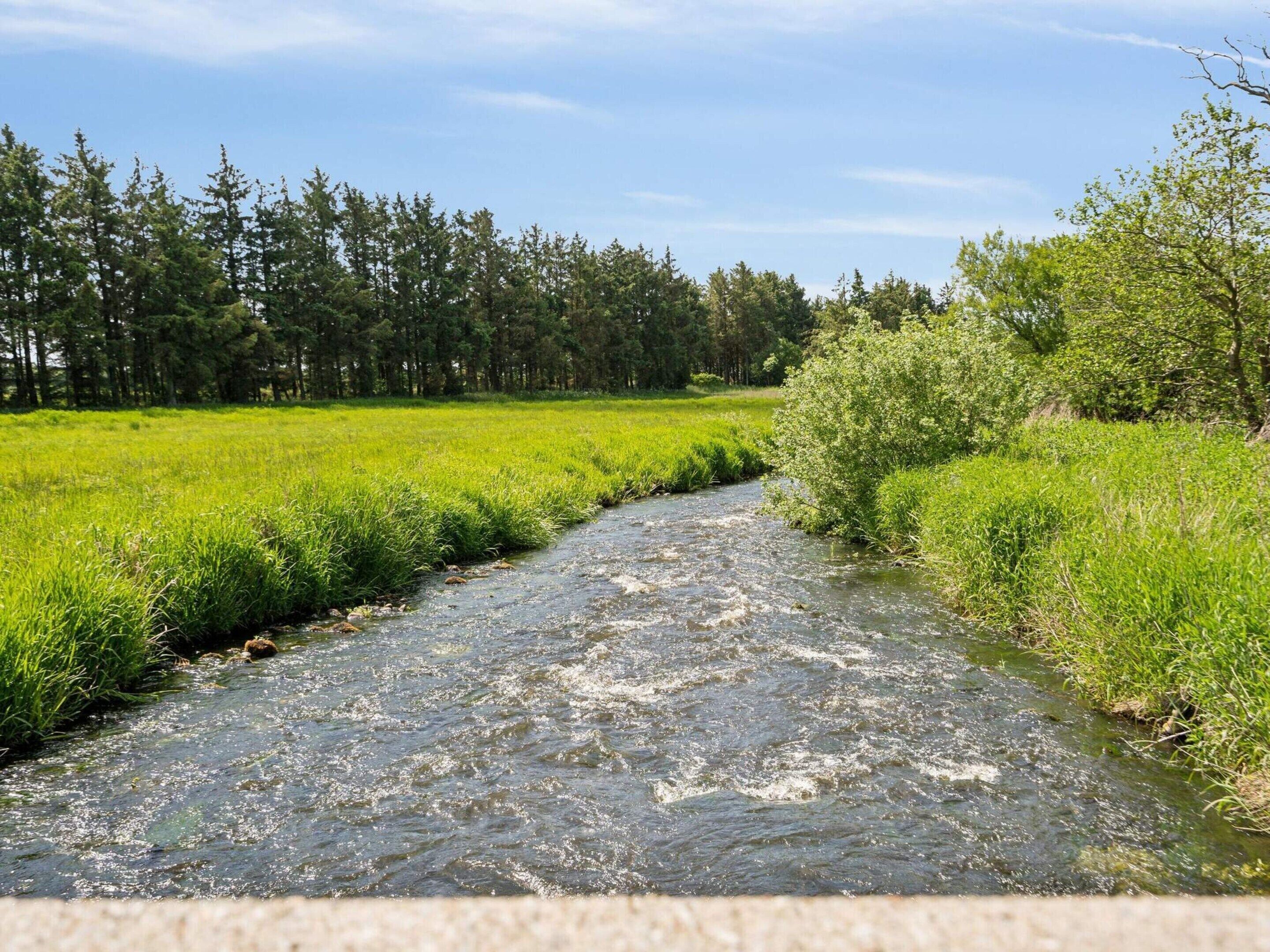 Un ruisseau de campagne, bordé d’un sentier étroit, entouré de champs verdoyants et d’une forêt dense.