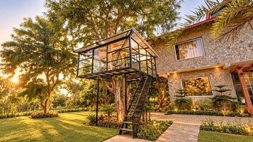 A modern house with a glass structure in the garden, surrounded by lush greenery and a stone exterior.