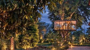 Una casa en el árbol con cerramiento de vidrio, rodeada de follaje denso y árboles.