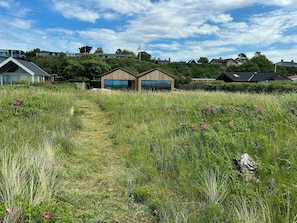 A modern building with a pathway leading to it, surrounded by lush greenery and a clear sky. - Nordic summer house with view over Storebælt (Slagelse)