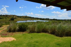 A grassy area with a pond and a path leading to a building with a metal roof.
