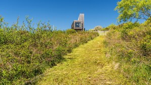 Un camino conduce a un edificio moderno con un diseño arquitectónico único, rodeado de abundante vegetación.