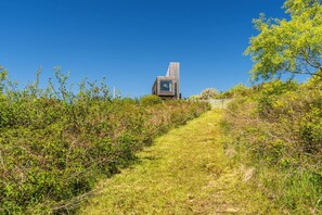 A pathway leading to a modern building with a unique architectural design, surrounded by lush greenery.
