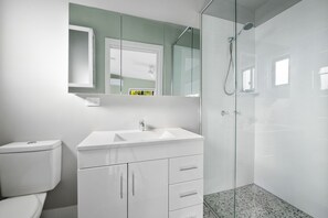 A modern bathroom with a toilet, a sink, a mirror, and a glass-enclosed shower. - A cosy  cabin in Umina Beach (Umina Beach)