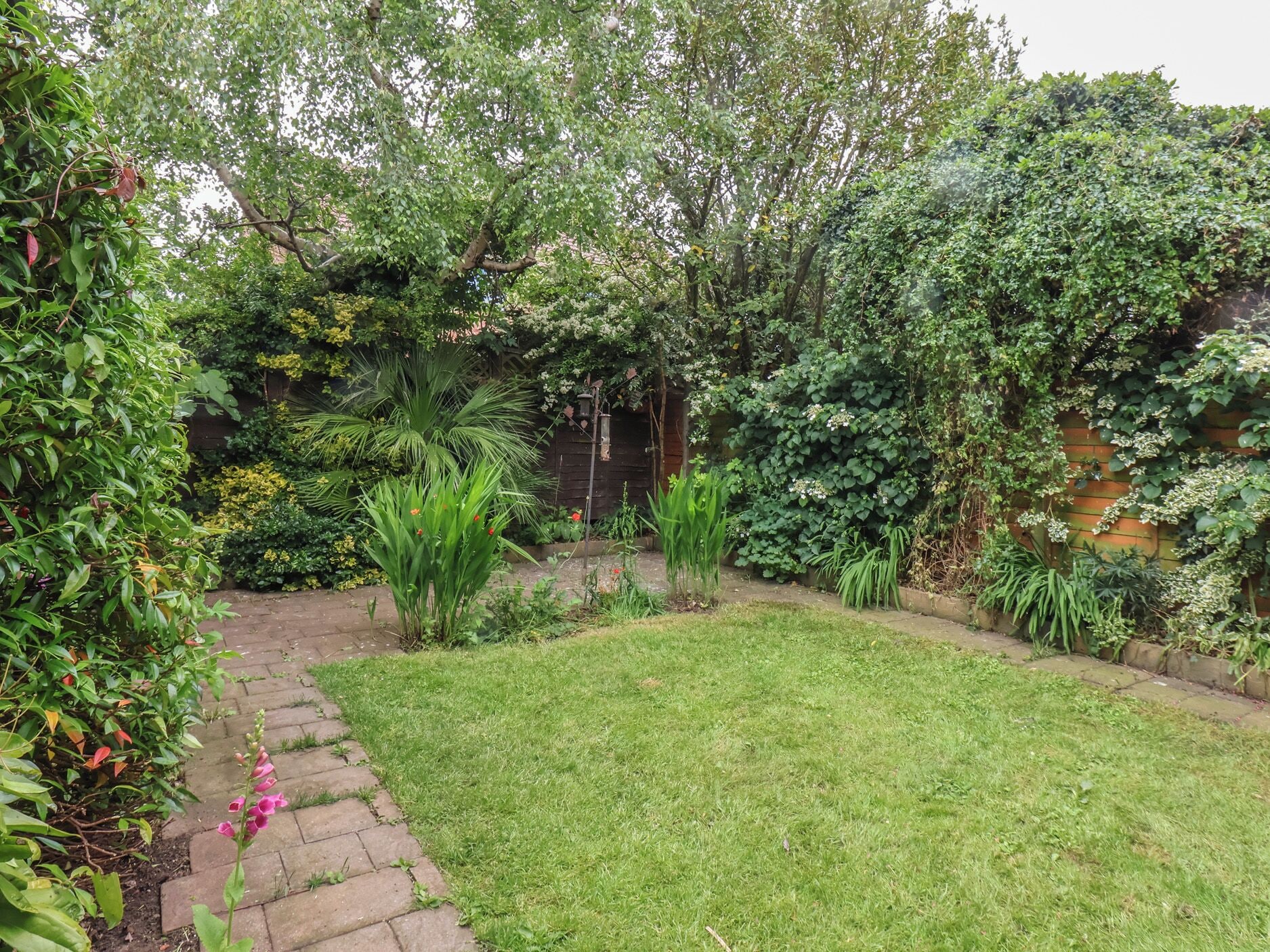 A garden with a paved path, a grassy area, and various plants.