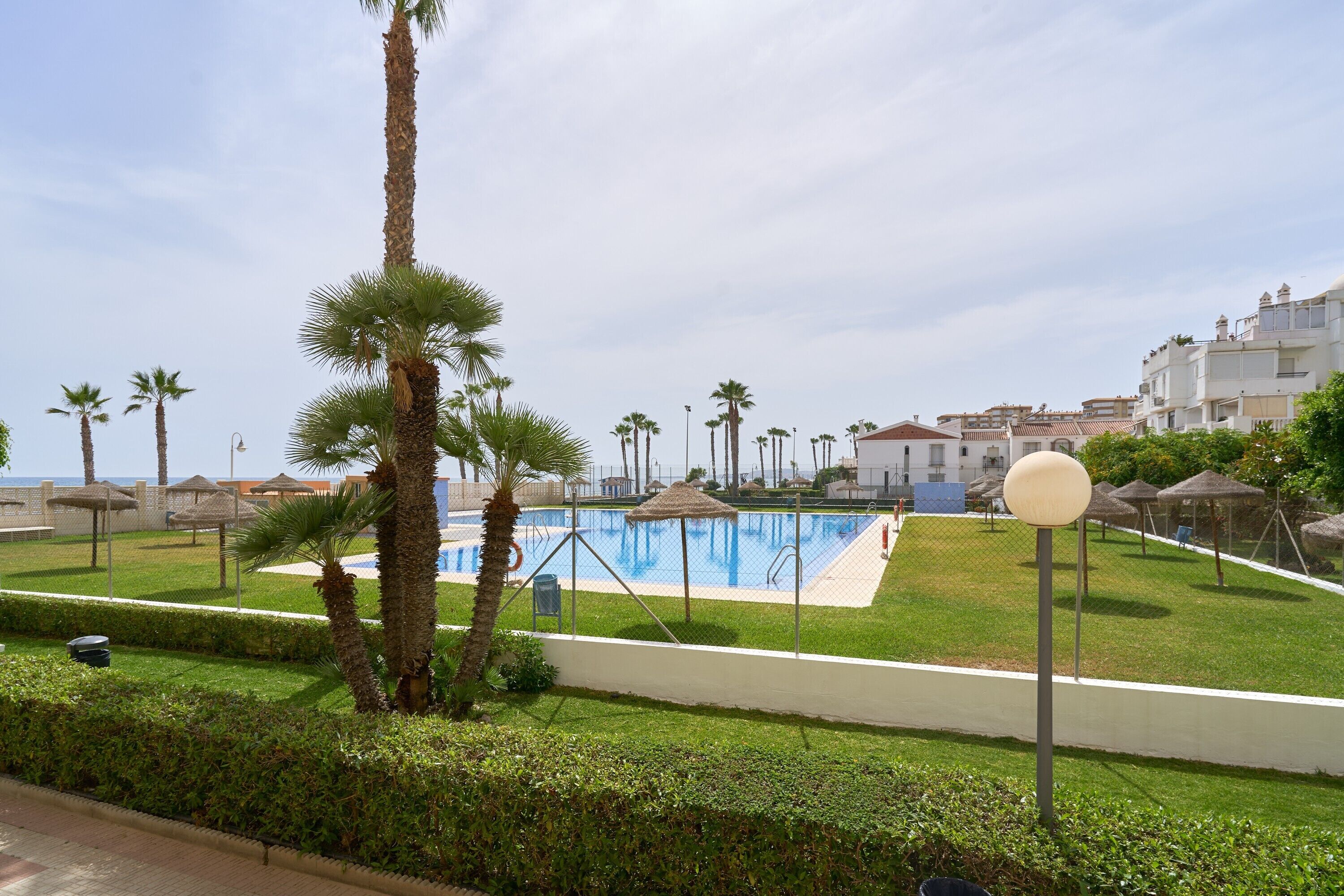 A pool area with palm trees, a white fence, and a clear sky.