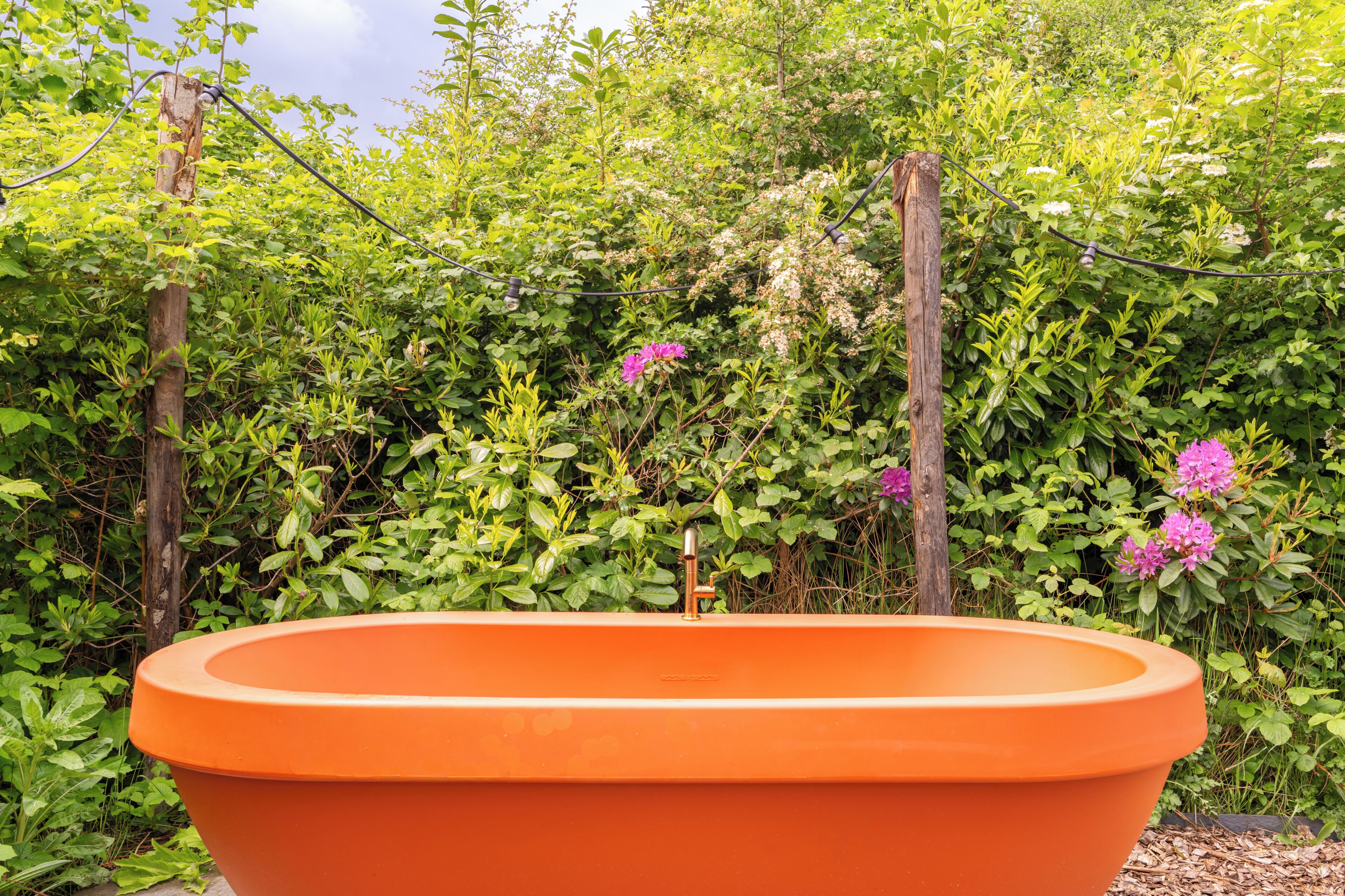 Ein Terrakotta-Pflanzgefäß in einem Garten mit dichtem Grün und blühenden Pflanzen.