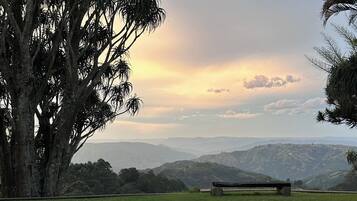 A swimming pool with a view of distant mountains and a large tree.