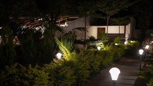 Un sendero nocturno iluminado, rodeado de abundante vegetación y un edificio al fondo.