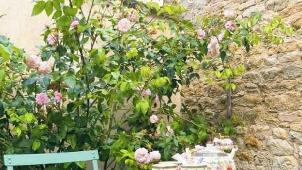 A table with floral-patterned tableware, a green chair, and a rose bush in the background. - Le Nid du Matelot (Saint-Vaast-la-Hougue)