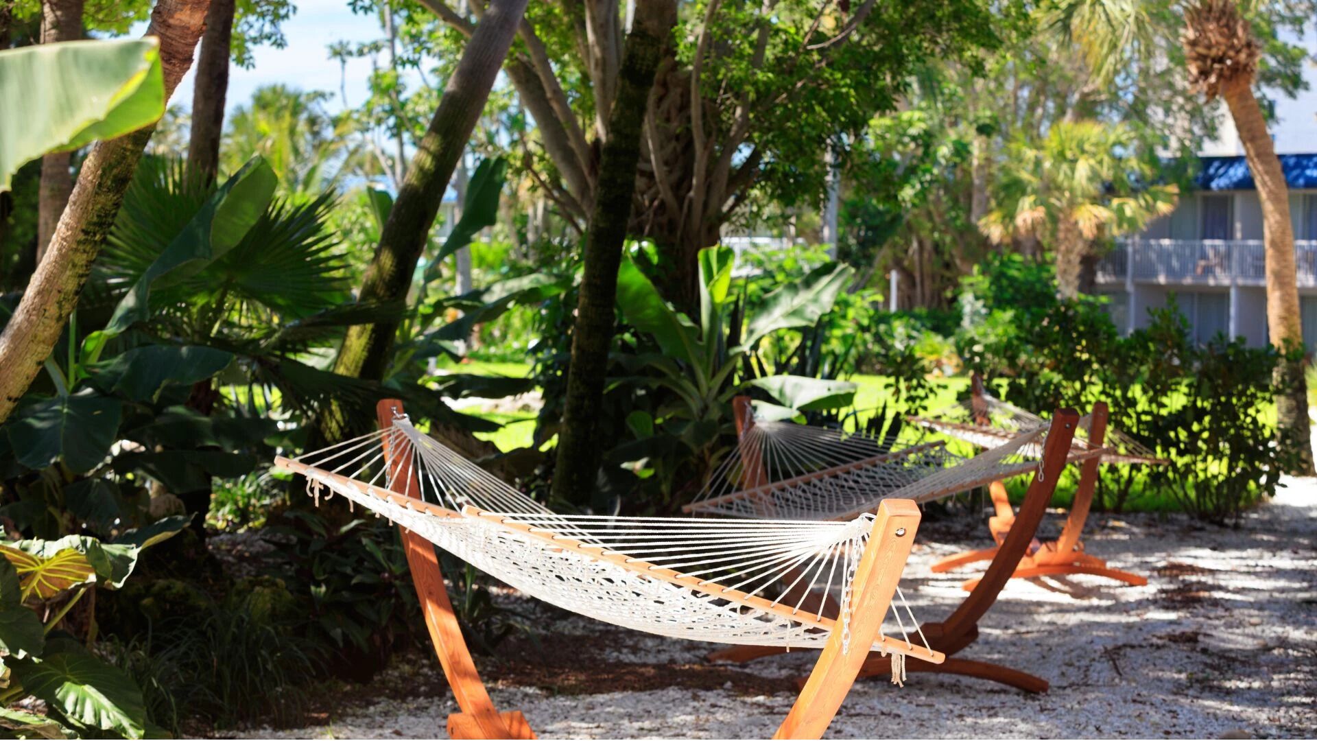 A hammock set up in a lush garden with dense foliage and a building in the background.