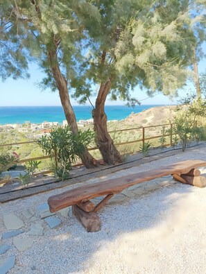 A wooden bench, trees, and a view of the sea and buildings.