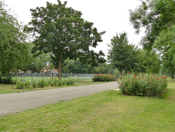 A paved pathway in a park with trees and a fence in the background.
