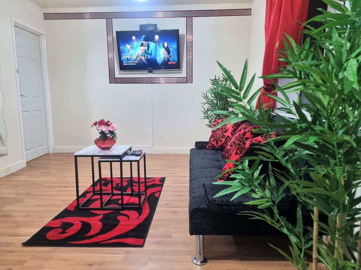 A living room with a TV, a sofa, a coffee table, a red and black rug, and a potted plant.