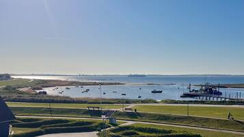 A coastal landscape with a clear sky, a grassy area with benches, and a body of water with boats.