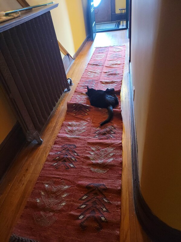 A hallway with a patterned carpet, a radiator, and a door leading to another room.