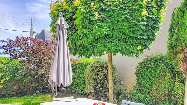 Un'area pranzo all'aperto con un tavolo apparecchiato per due, immersa nel verde e coperta da una pergola.