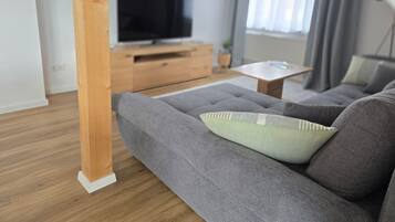 Fernseher