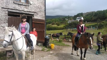 A rustic stone building with a wooden door, a dirt path, and horses.
