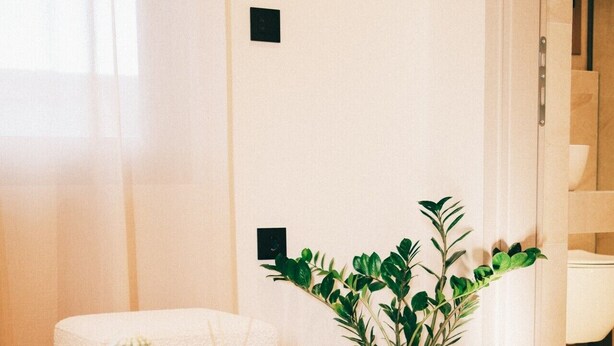 Una habitación de hotel moderna con una mesa redonda, una planta en maceta, un pequeño cactus y un libro titulado 'INTREE'.