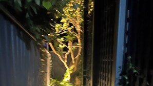 En smal gyde med en sti, der fører til en port, omgivet af grøn vegetation og en blå mur.