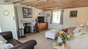 A cozy living room with a fireplace, a television, and a sofa. - 2 The Gardens (Lechlade)