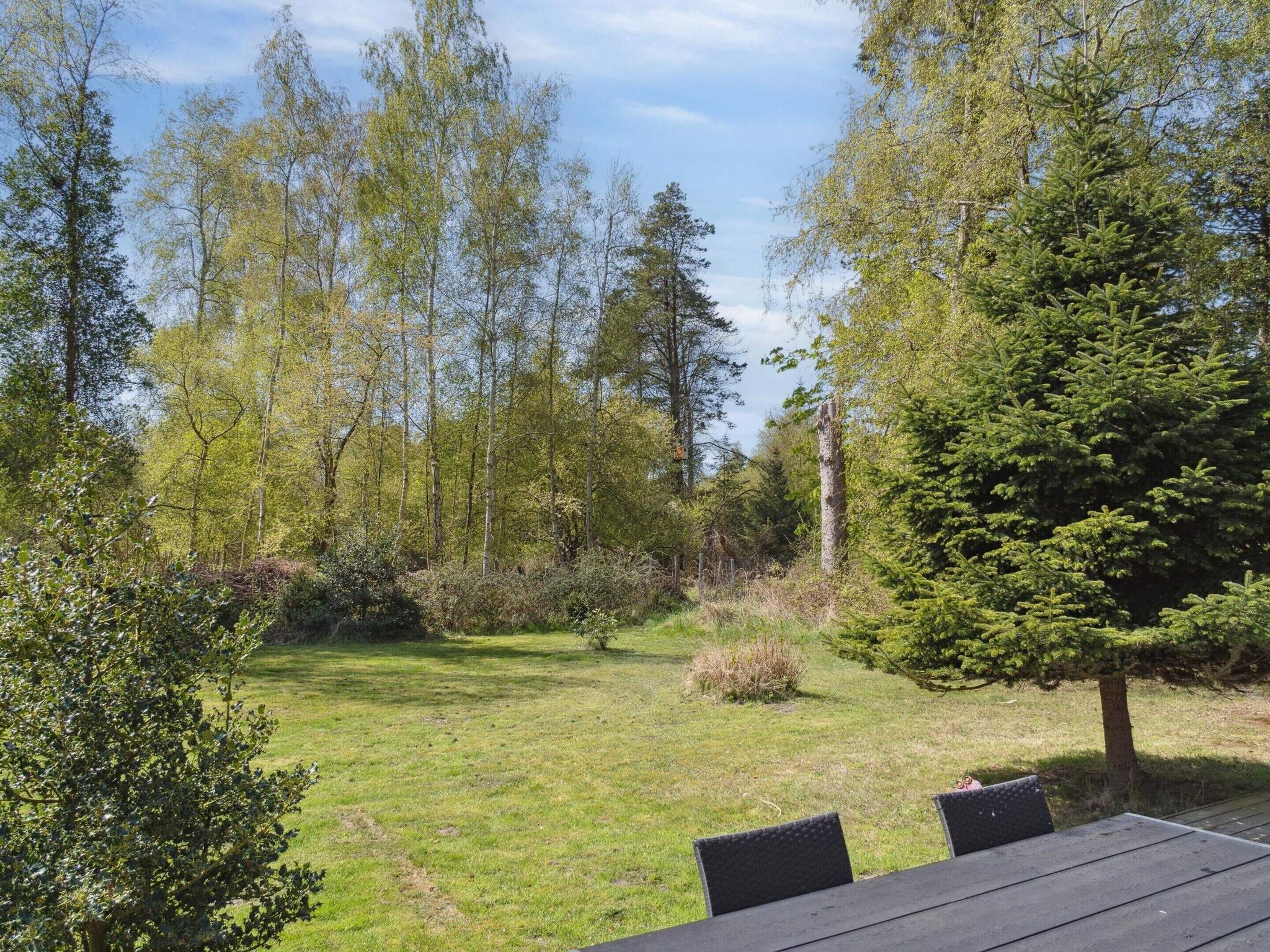 A grassy outdoor area with a table and chairs, surrounded by trees and shrubs.