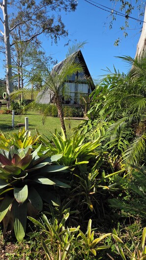 A house surrounded by lush greenery and a clear blue sky.