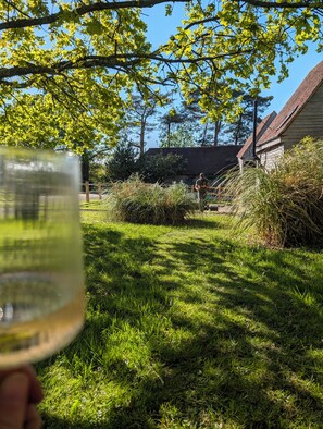 Nurmikkoalue ulkona, taustalla näkyy rakennus.
