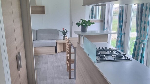 Een moderne keuken met een ingebouwde kookplaat, houten kastjes en uitzicht op het groen door een raam.