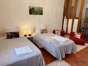 Room - Central studio, pets welcome - 2 guests (Blois)