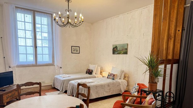 A room with two beds, a dining table, a chandelier, a potted plant, and a painting on the wall. - Central studio, pets welcome - 2 guests (Blois)