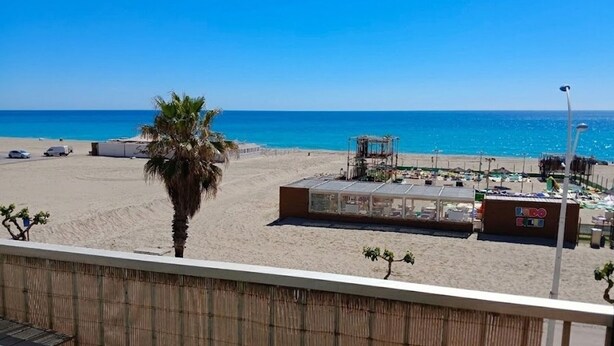 A beach view with a palm tree, a beachside kiosk, and a clear blue sky. - Apartment sea view, AC - 4 guests (Canet-en-Roussillon)