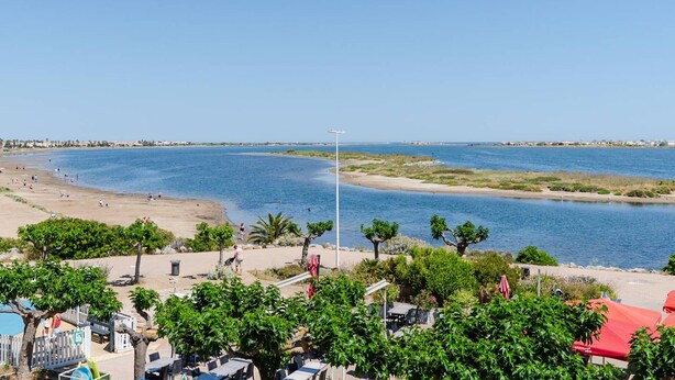 Une vue sur la côte, avec une plage, un ciel dégagé et une végétation luxuriante.