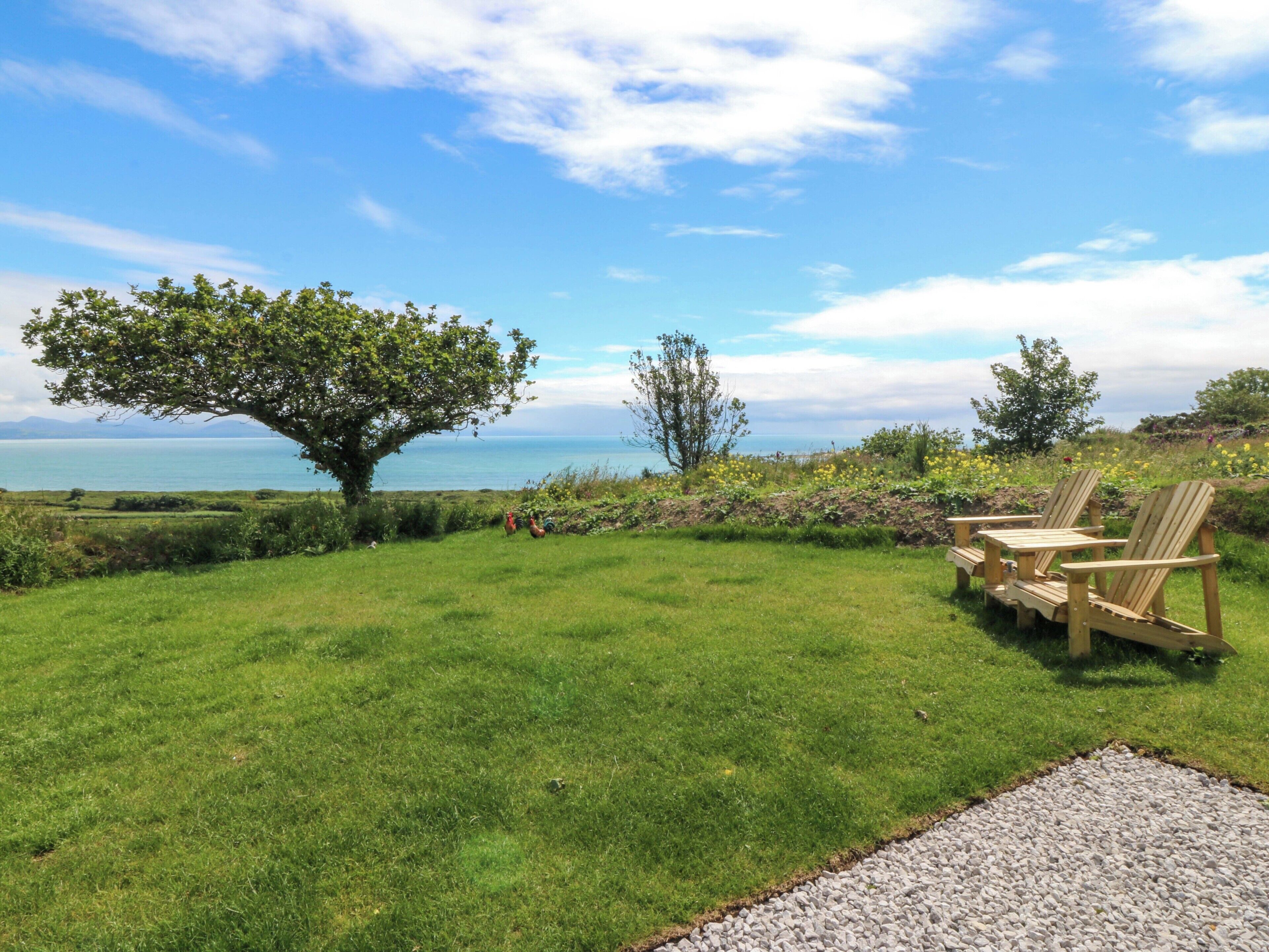 A grassy outdoor area with a view of the sea, a large tree, and wooden chairs.