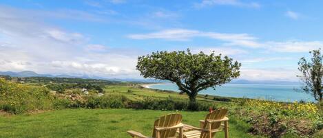 A grassy area with two wooden chairs facing a tree and a view of the sea.