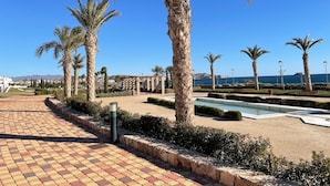 Un camino pavimentado bordeado de palmeras, una piscina y una vista despejada del mar.