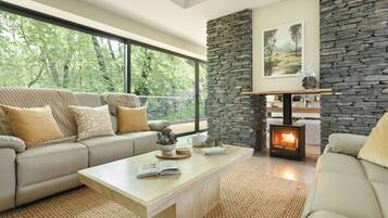 TV, fireplace, offices