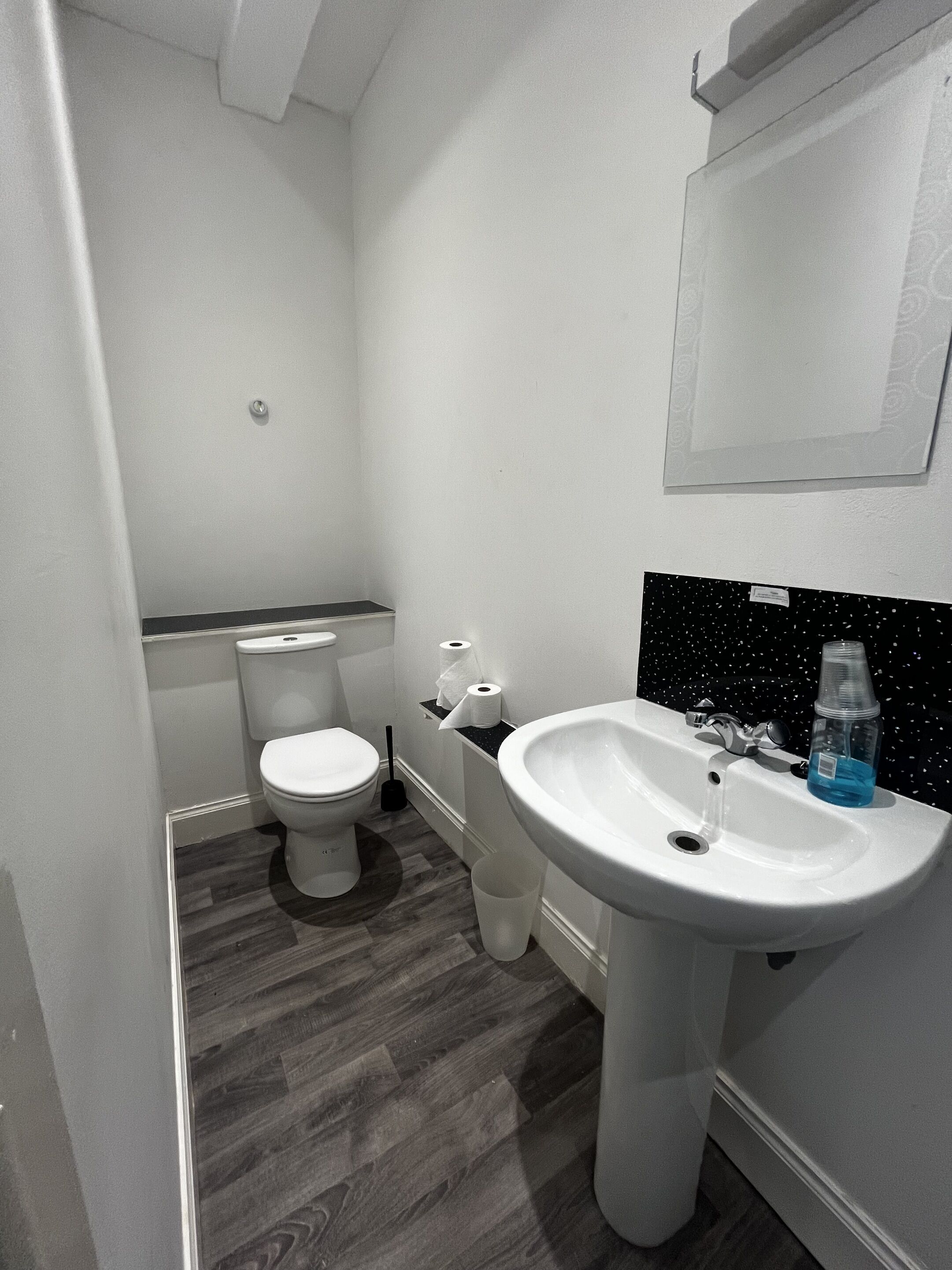 A bathroom with a toilet, sink, and toilet paper.