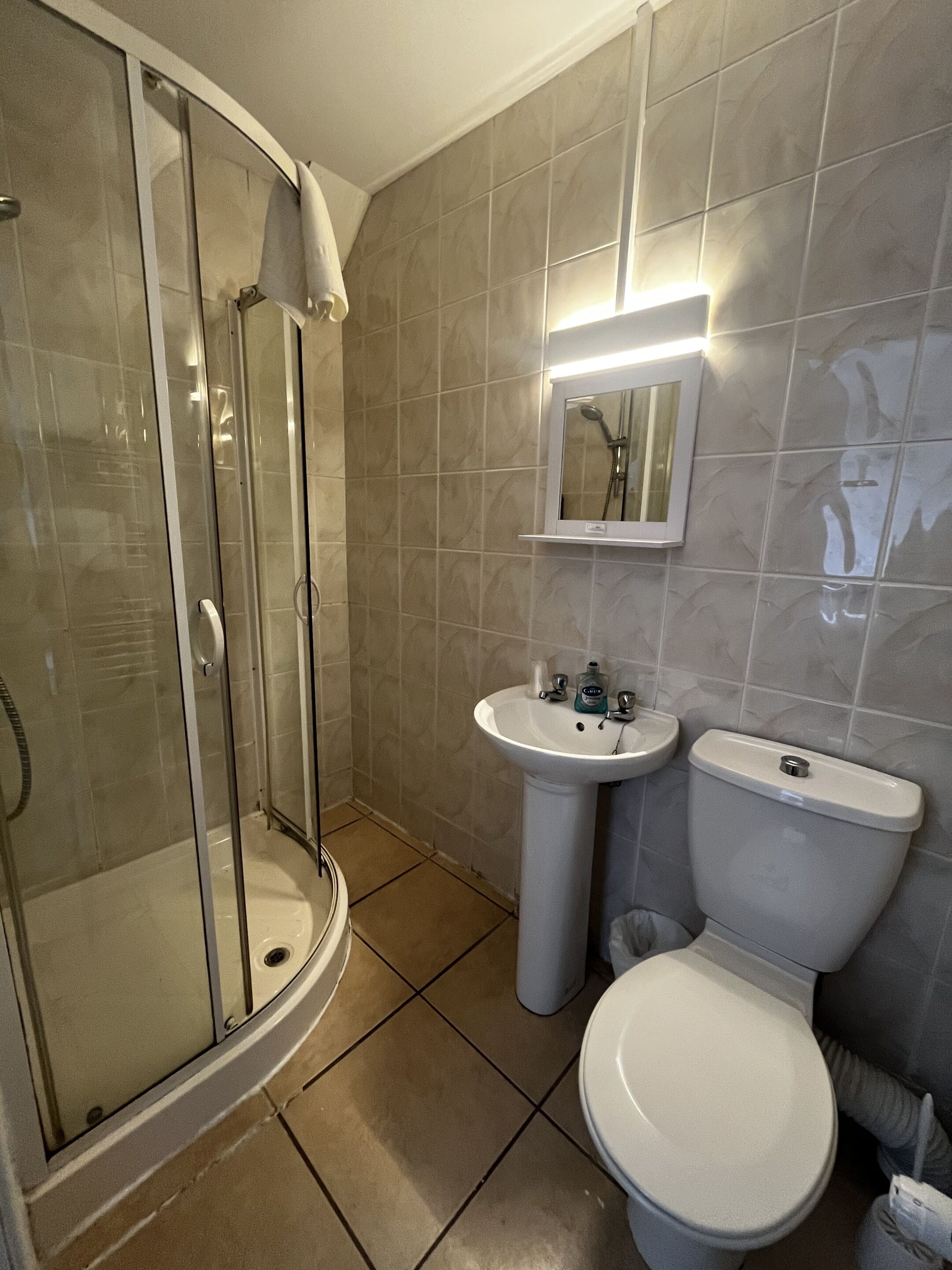 Un baño con ducha de mampara de vidrio, lavamanos e inodoro.