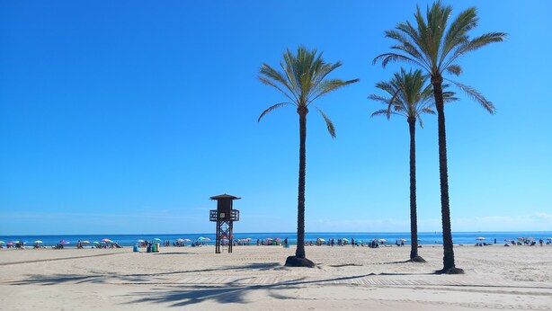 A beach with palm trees, a lifeguard tower, and umbrellas.