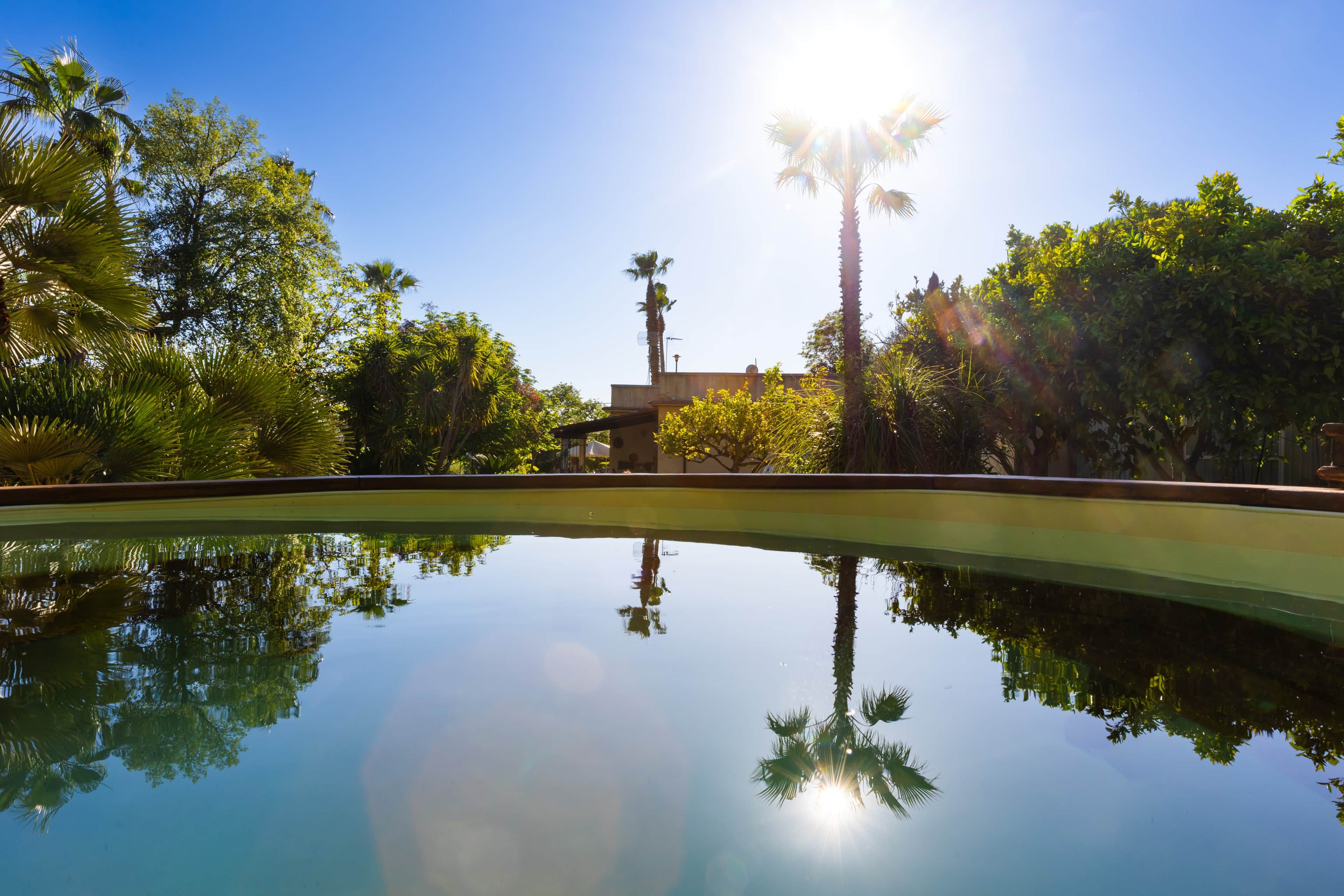 Una piscina trasparente che riflette gli alberi circostanti e un edificio.