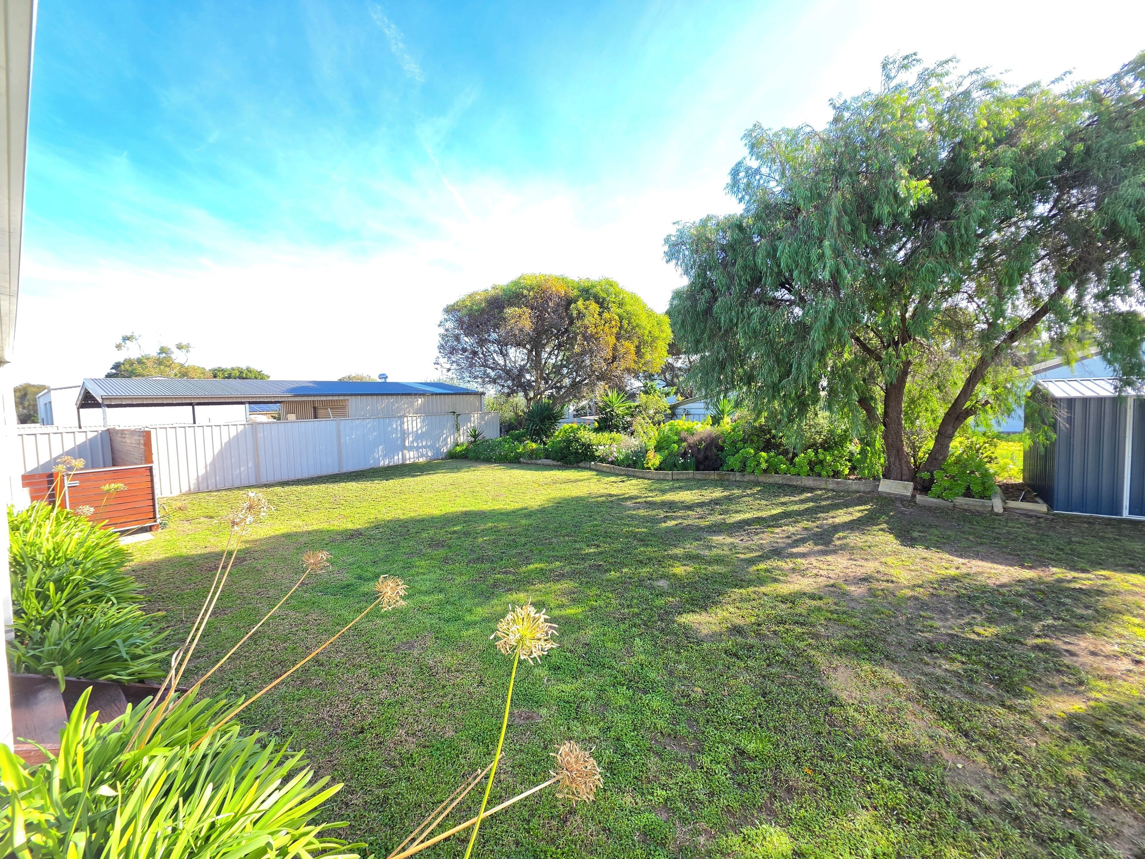 A backyard with a lawn, a tree, and a shed.