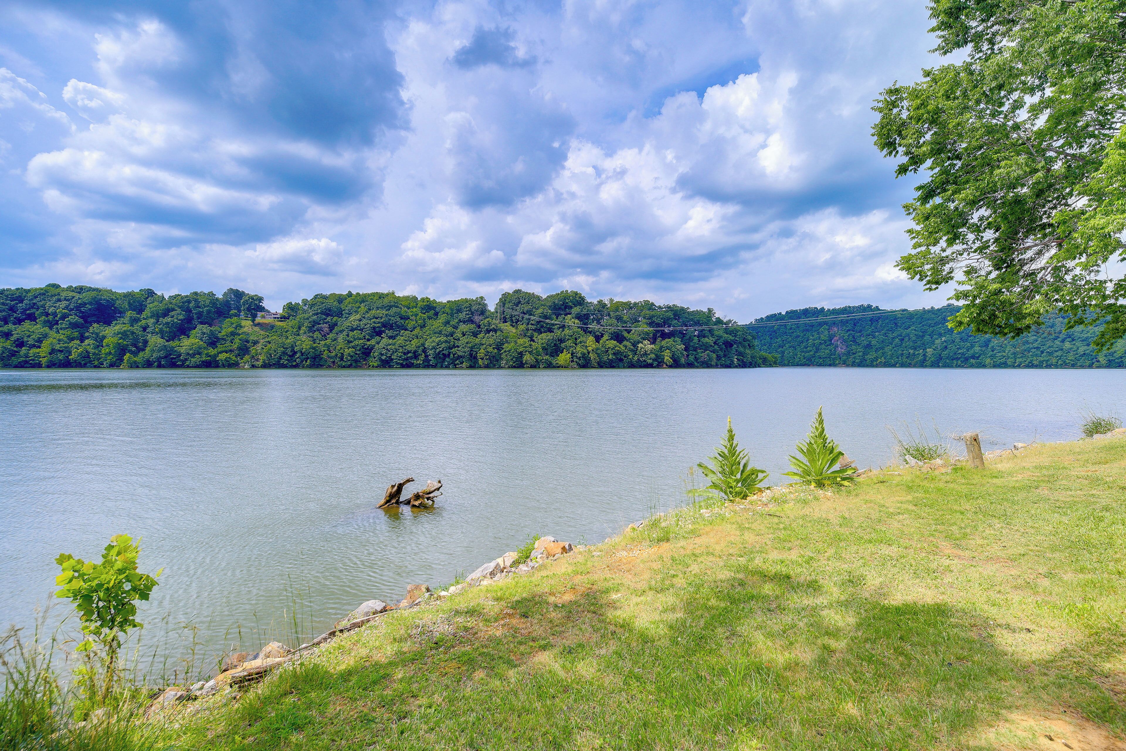 A lake with a grassy shore, trees, and a cloudy sky.