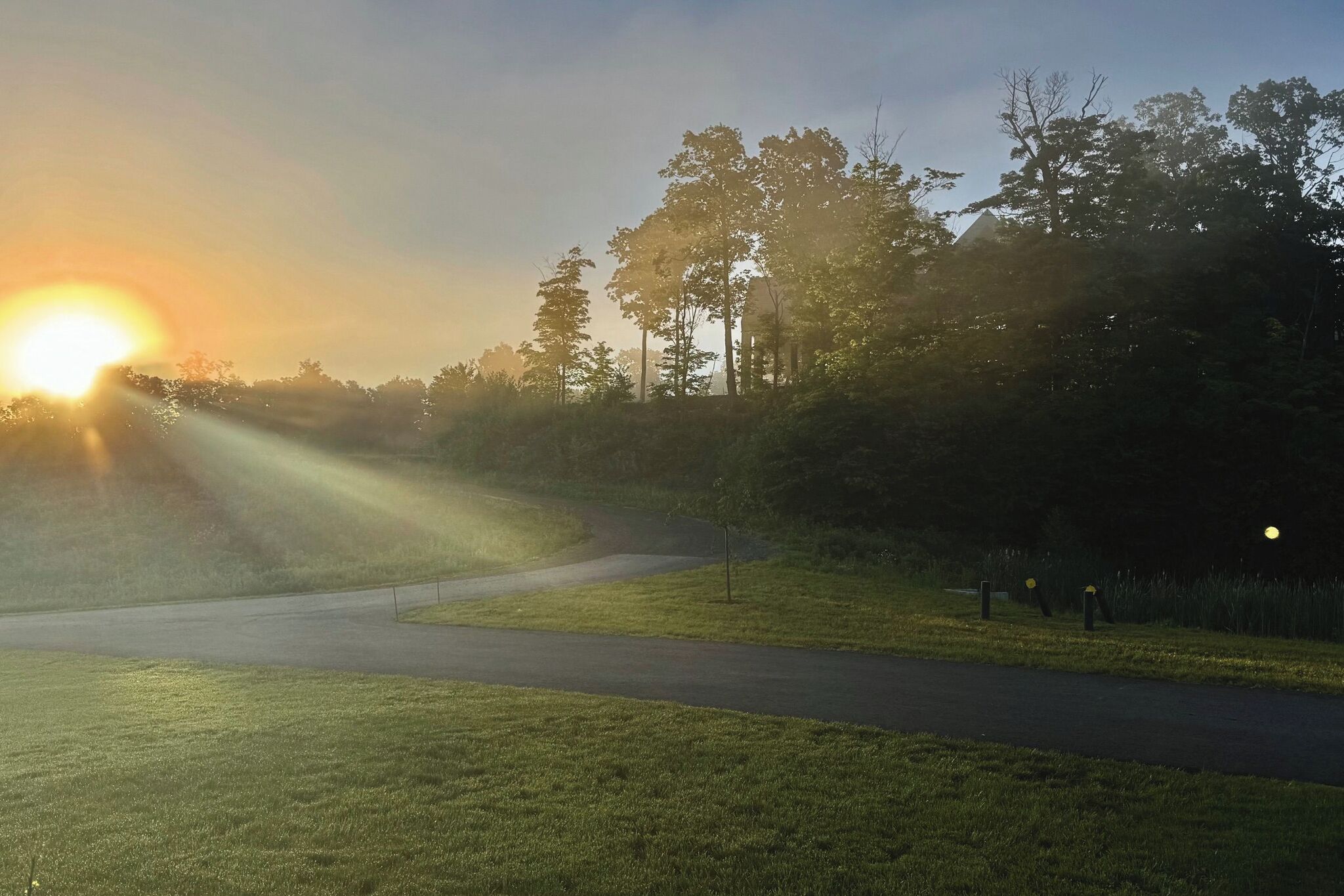 A paved pathway curving through a grassy area with trees and a clear sky.